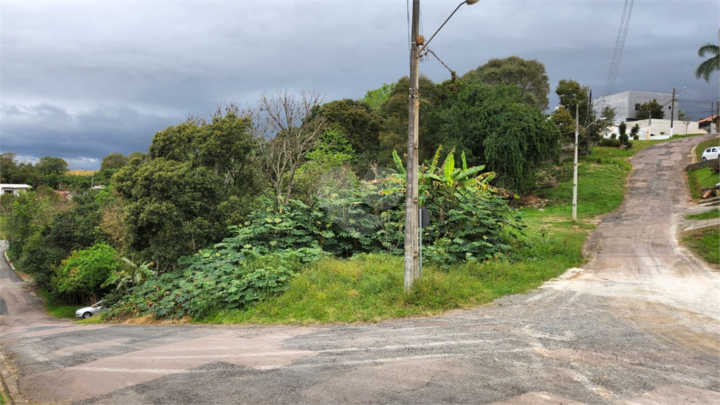 Venda Terreno Curitiba Campo Comprido REO720156 11