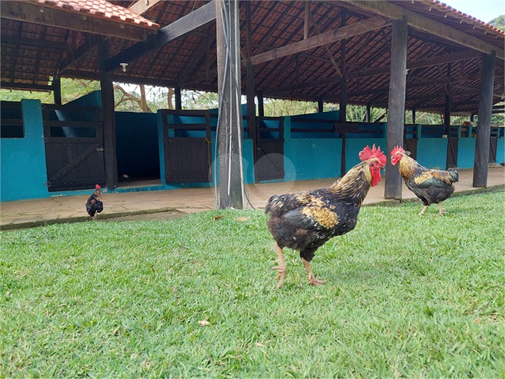 Foto REO720182