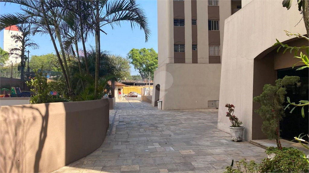 Venda Apartamento São Paulo Vila Das Mercês REO720198 22