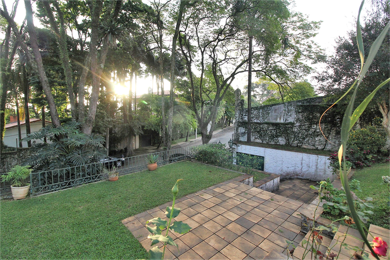 Foto REO720264