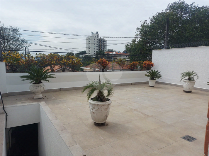 Foto REO720499
