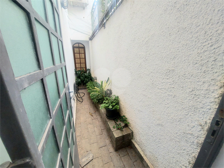 Foto REO720499
