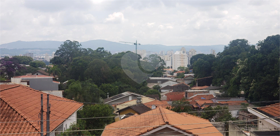 Foto REO720499
