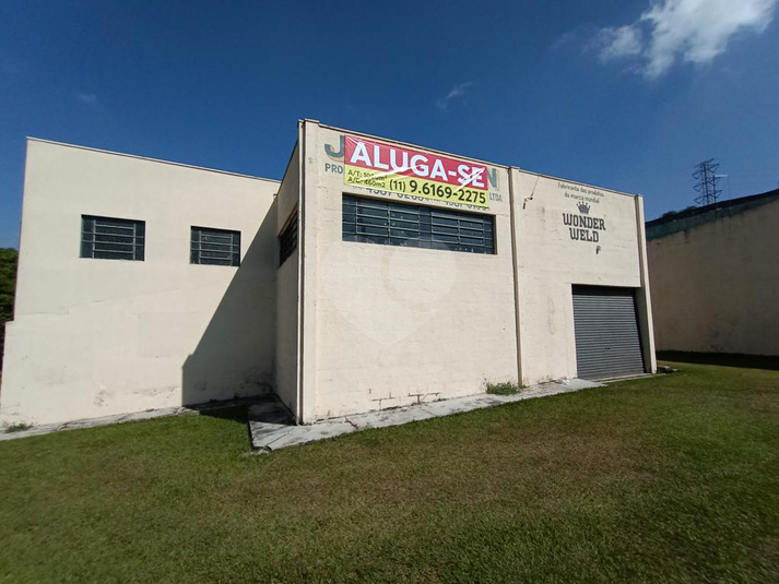 Foto REO720666