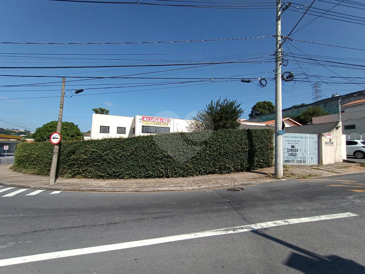 Foto REO720666