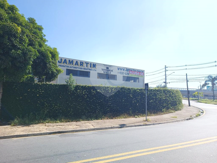 Foto REO720666