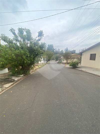 Foto REO720852