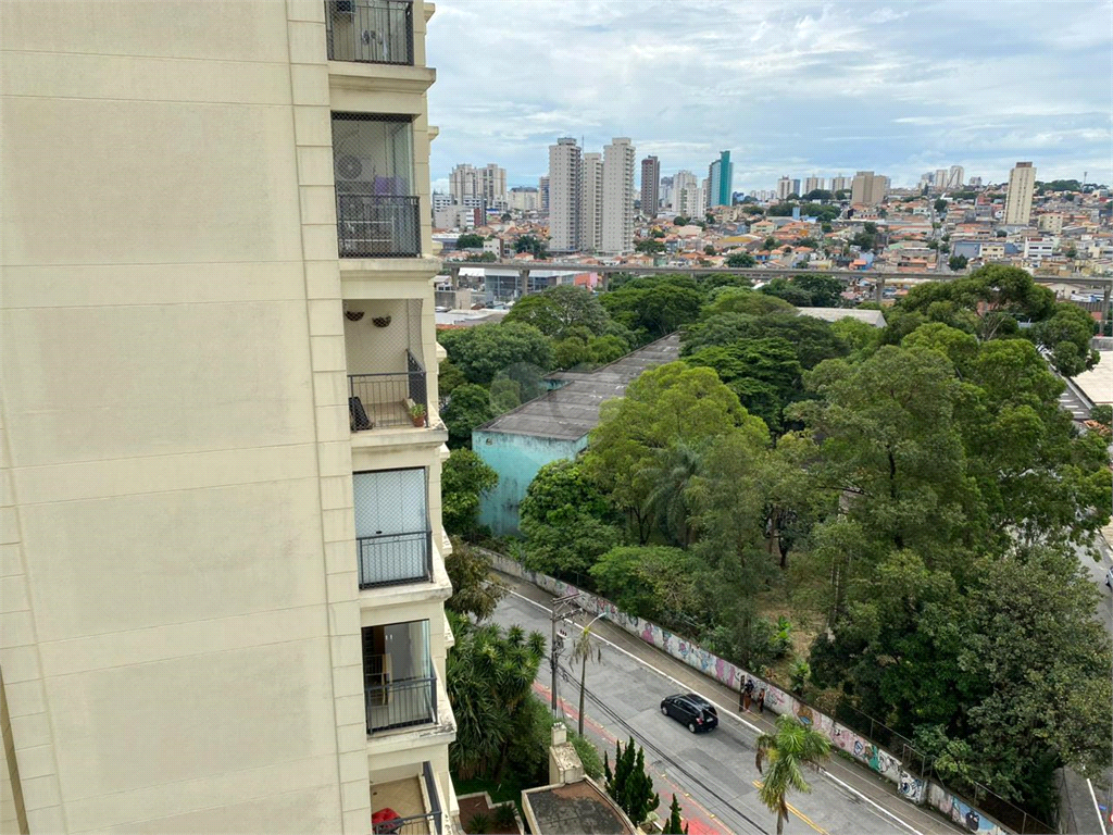 Venda Apartamento São Paulo Jardim Avelino REO720889 46