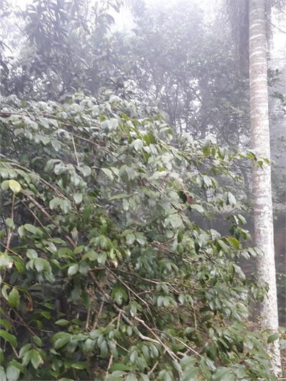 Venda Condomínio Embu Jardim Dos Ipês REO720948 62