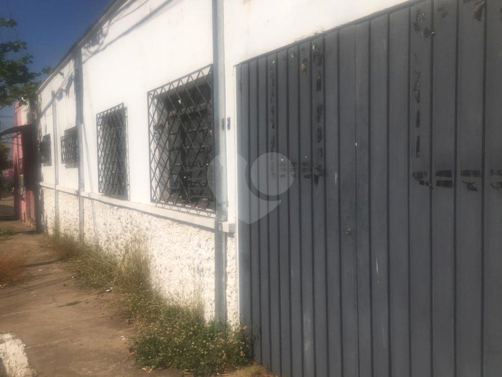Foto REO720962