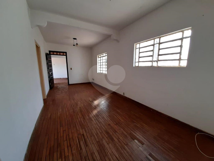Foto REO720962
