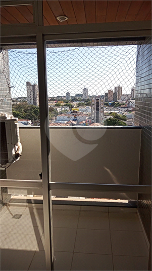 Foto REO722537