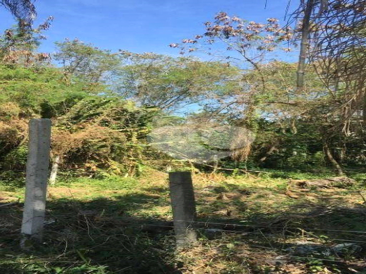 Venda Terreno Rio De Janeiro Recreio Dos Bandeirantes REO722742 1