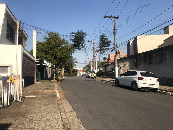 Foto REO723382