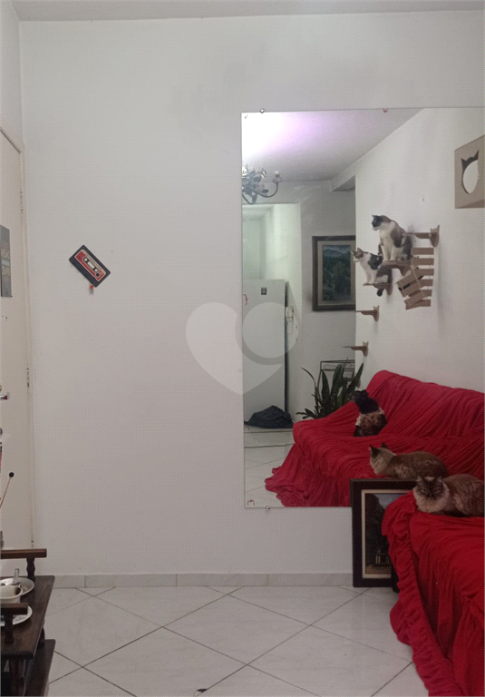 Venda Apartamento Taubaté Vila São José REO723466 6