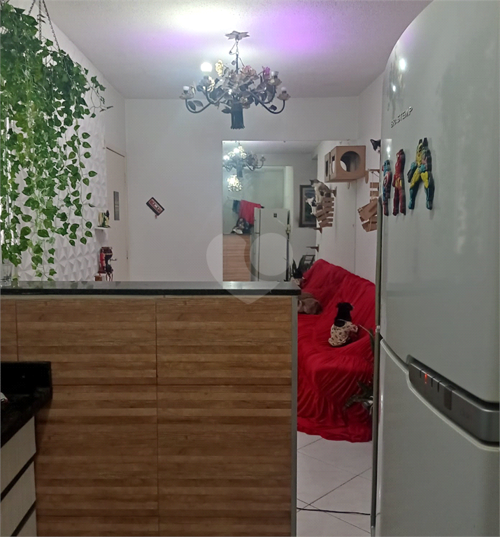 Venda Apartamento Taubaté Vila São José REO723466 7