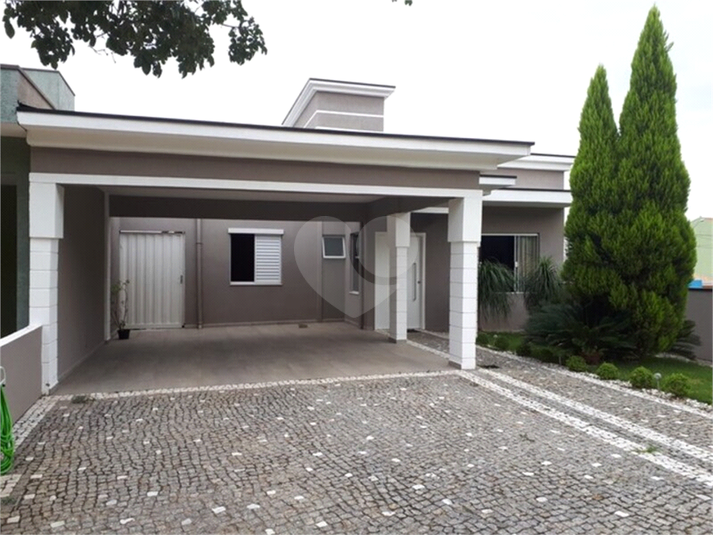 Foto REO723669