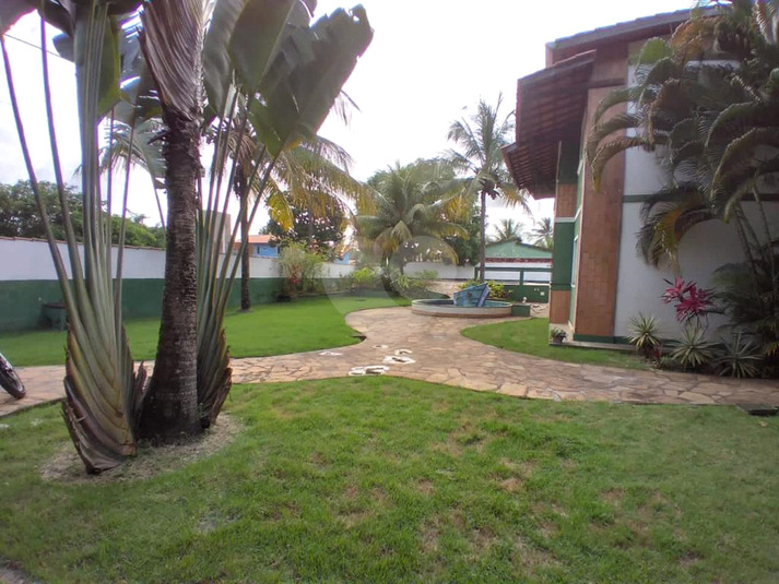 Foto REO723860