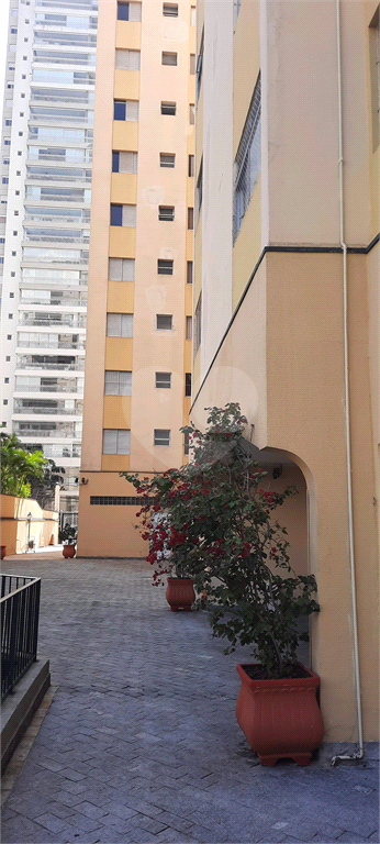 Venda Apartamento São Paulo Chácara Inglesa REO724116 39