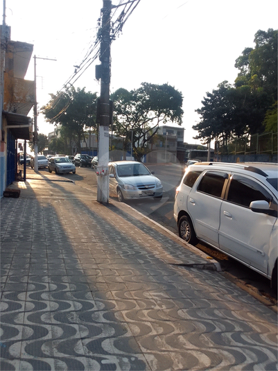 Foto REO724477