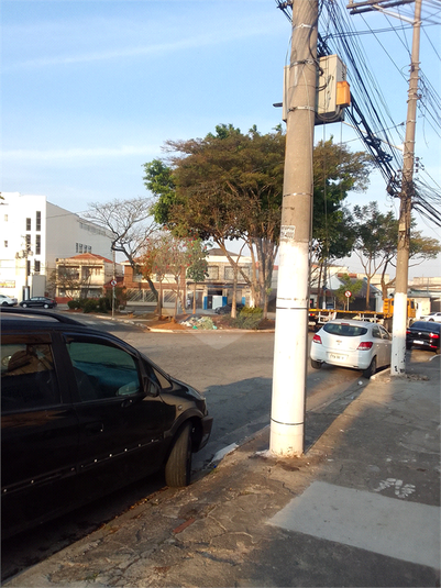 Foto REO724477