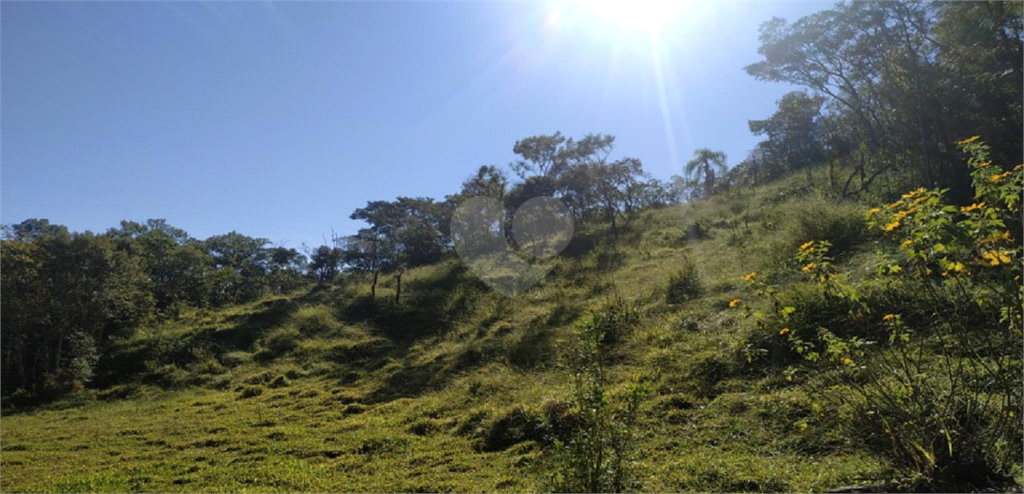 Venda Terreno Franco Da Rocha Vila Palmares REO724641 11