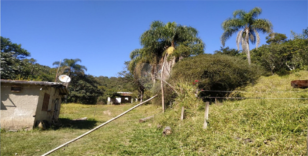 Venda Terreno Franco Da Rocha Vila Palmares REO724641 5