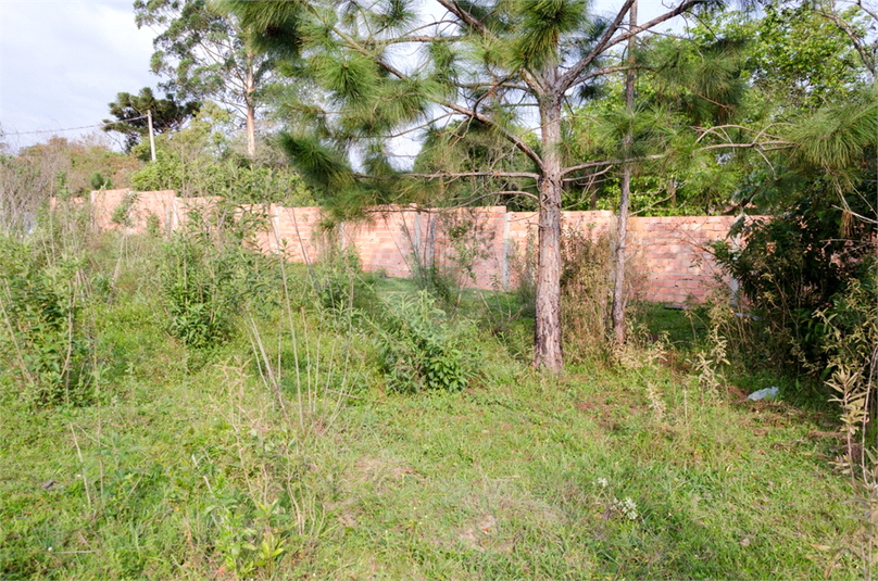 Venda Terreno Araçoiaba Da Serra Centro REO724764 9