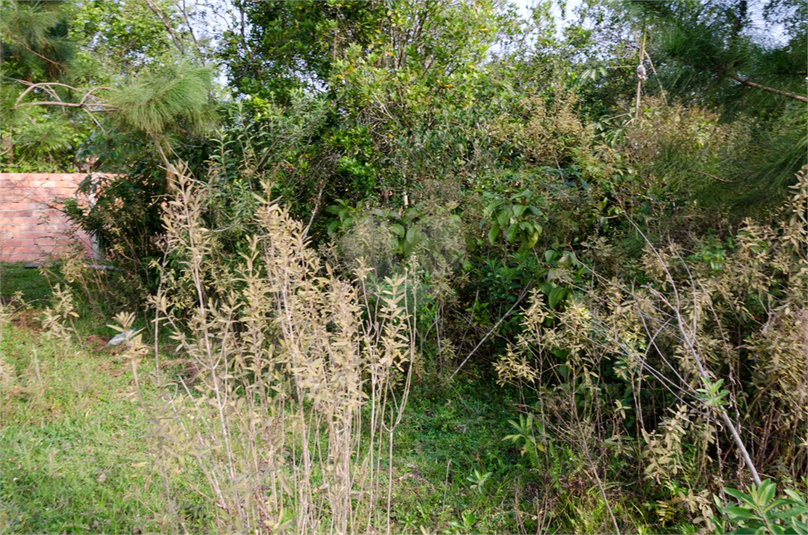 Venda Terreno Araçoiaba Da Serra Centro REO724764 14