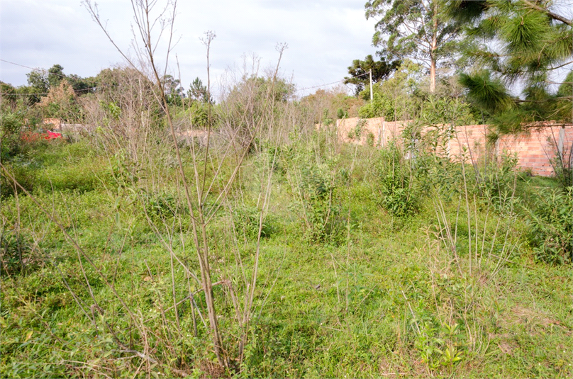 Venda Terreno Araçoiaba Da Serra Centro REO724764 19