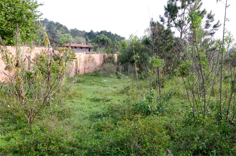 Venda Terreno Araçoiaba Da Serra Centro REO724764 16