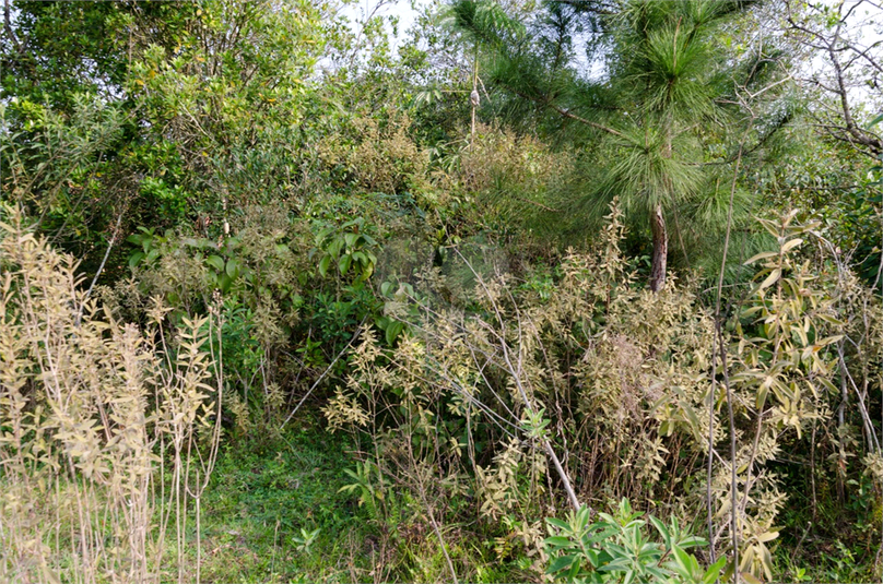 Venda Terreno Araçoiaba Da Serra Centro REO724764 15