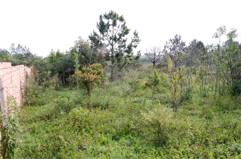 Venda Terreno Araçoiaba Da Serra Centro REO724764 18