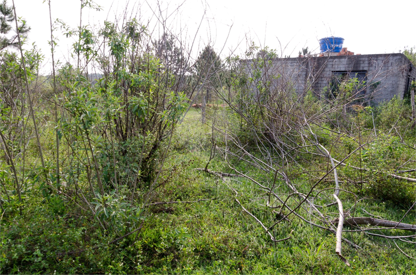 Venda Terreno Araçoiaba Da Serra Centro REO724764 17