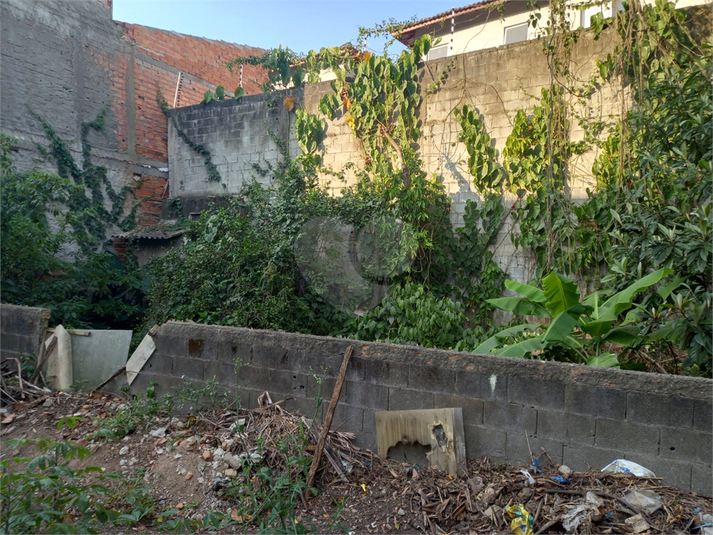 Foto REO724862