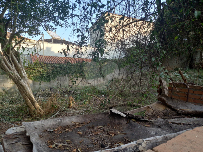 Foto REO724862