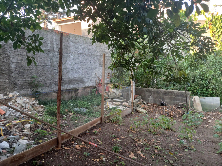 Foto REO724862