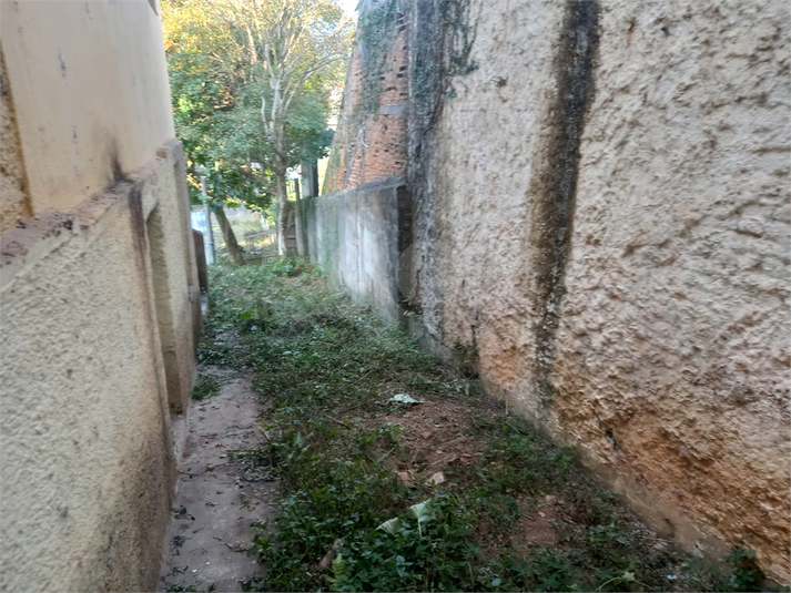Foto REO724862