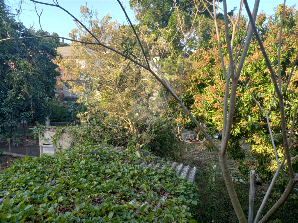 Venda Terreno São Paulo Vila Albertina REO724871 2