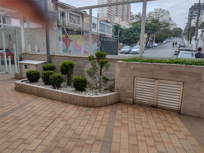 Foto REO724892