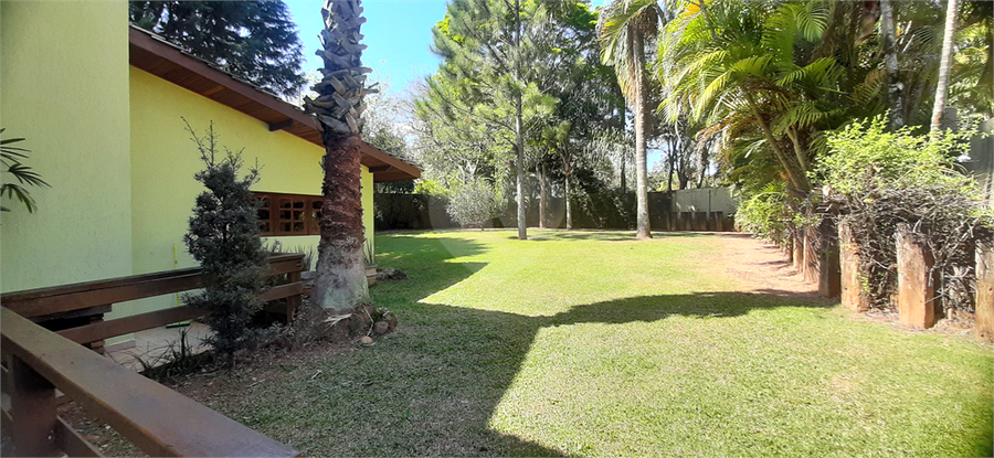 Foto REO725957
