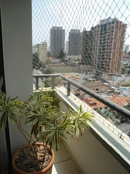 Venda Apartamento São Paulo Vila Mascote REO7261 3