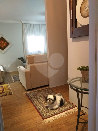 Venda Apartamento São Paulo Vila Mascote REO726125 16