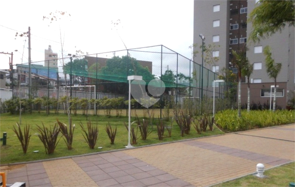 Venda Apartamento São Paulo Jardim Belaura REO726146 11