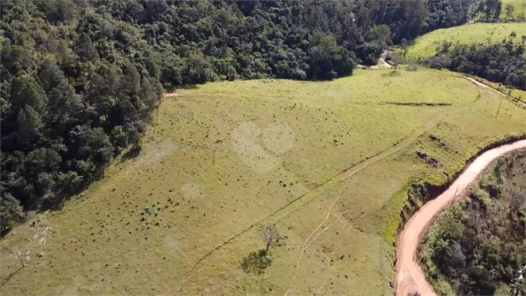 Venda Sítio Amparo Área Rural De Amparo REO726148 20