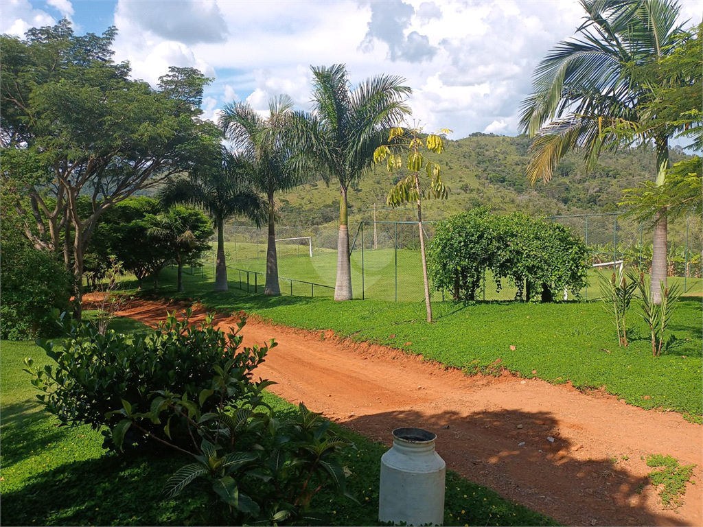 Venda Sítio Amparo Área Rural De Amparo REO726148 37