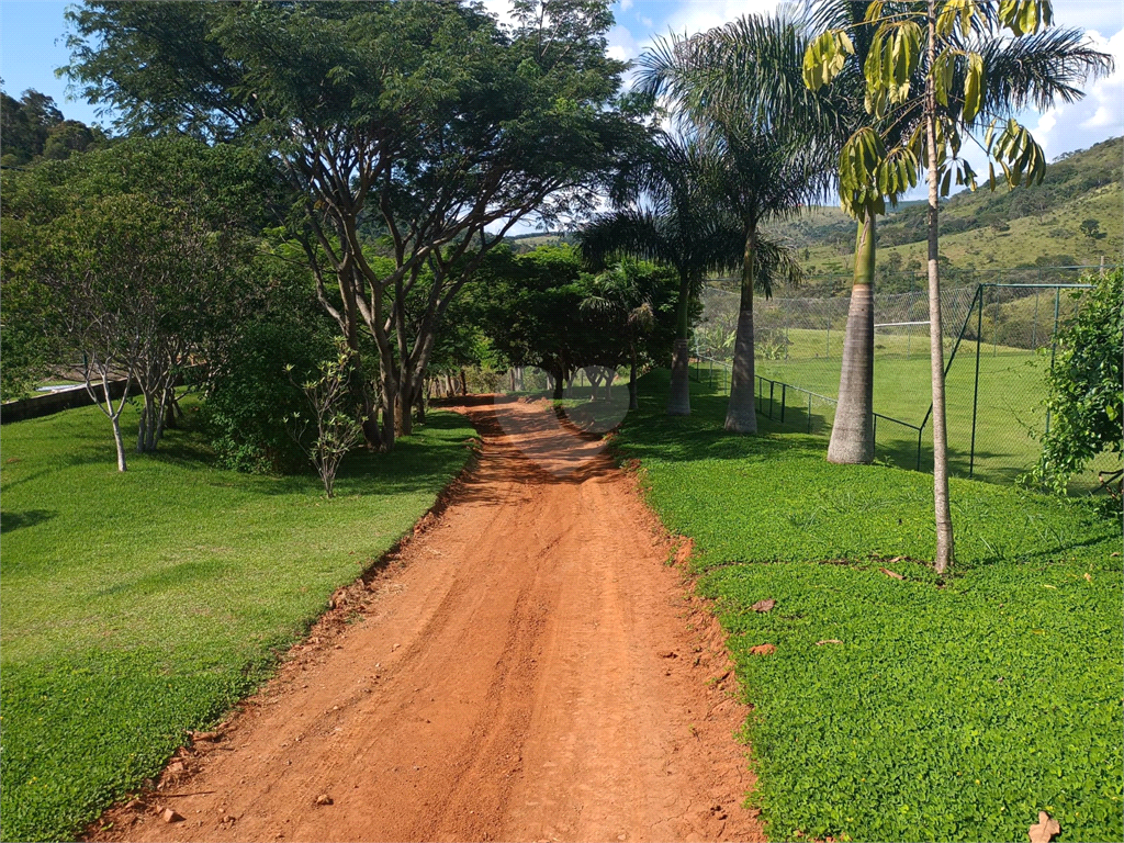 Venda Sítio Amparo Área Rural De Amparo REO726148 2