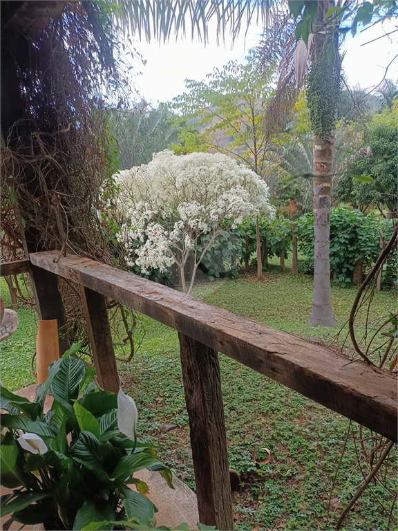 Venda Sítio Amparo Área Rural De Amparo REO726148 28