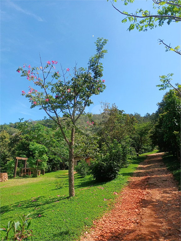 Venda Sítio Amparo Área Rural De Amparo REO726148 27