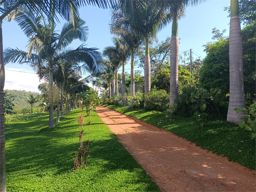 Venda Sítio Amparo Área Rural De Amparo REO726148 1